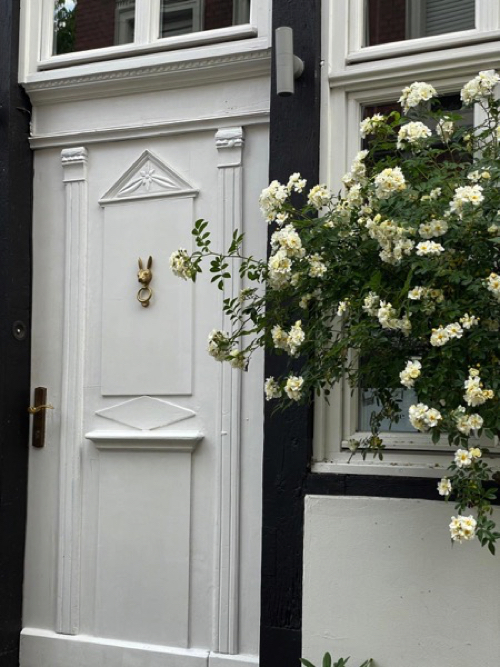 PHOTO-2026-03-22-11-33-23 8